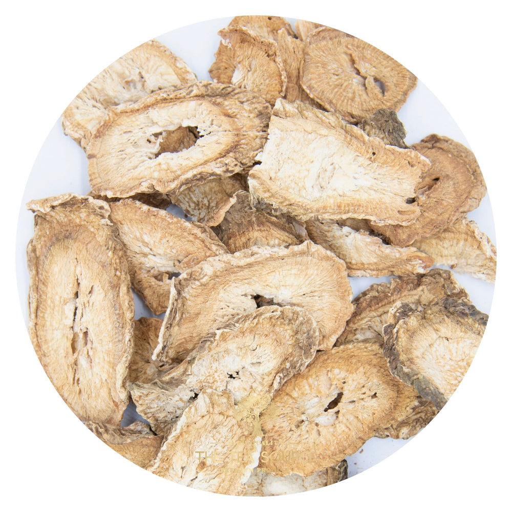
                      
                        Burdock Root Tea
                      
                    